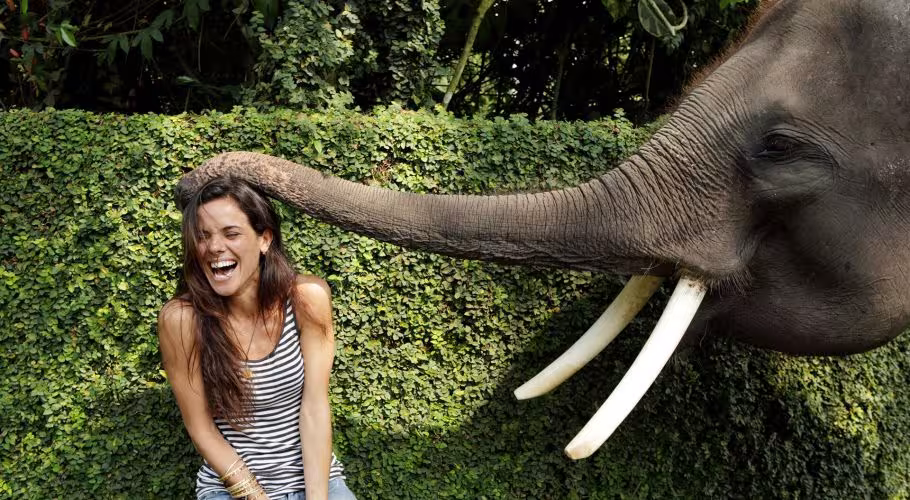 Bali Mason Elephant Lodge Bali Mason Elephant Lodge Bali Mason Elephant Lodge Bali Mason Elephant Lodge